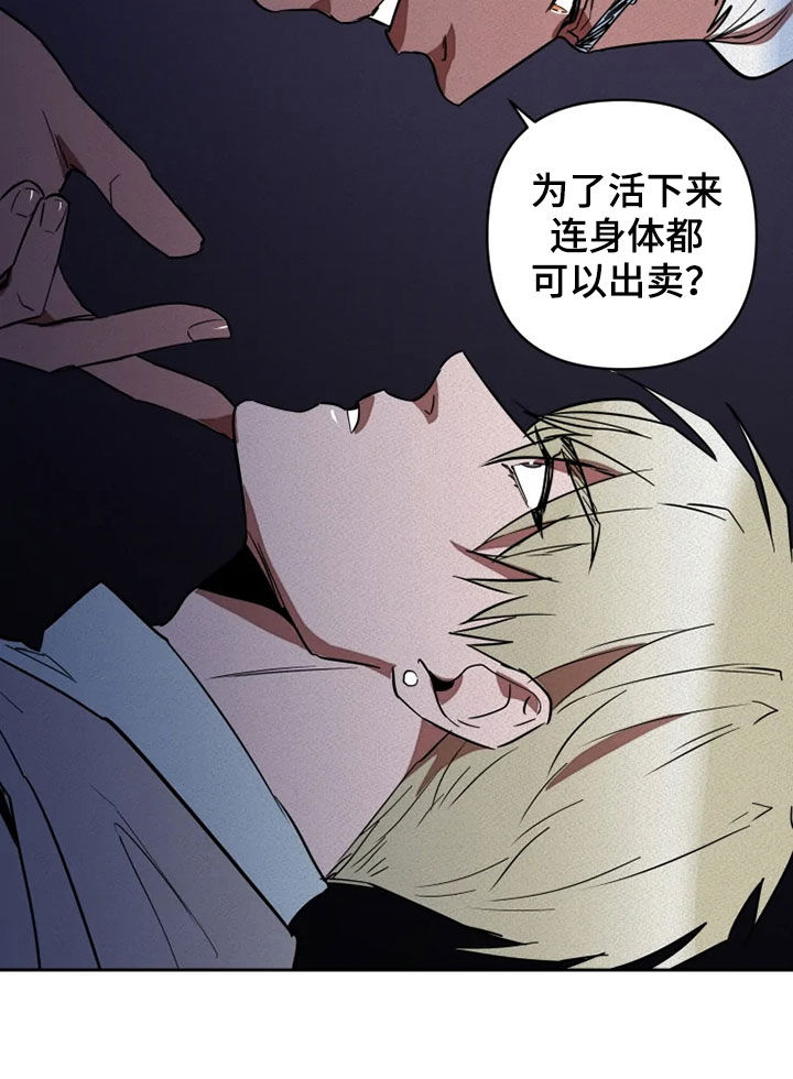 甜蜜杀戮漫画,第21章：愚蠢5图