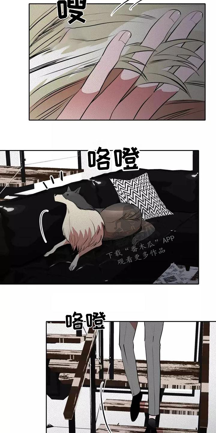 甜蜜杀戮漫画,第53章：罪过3图