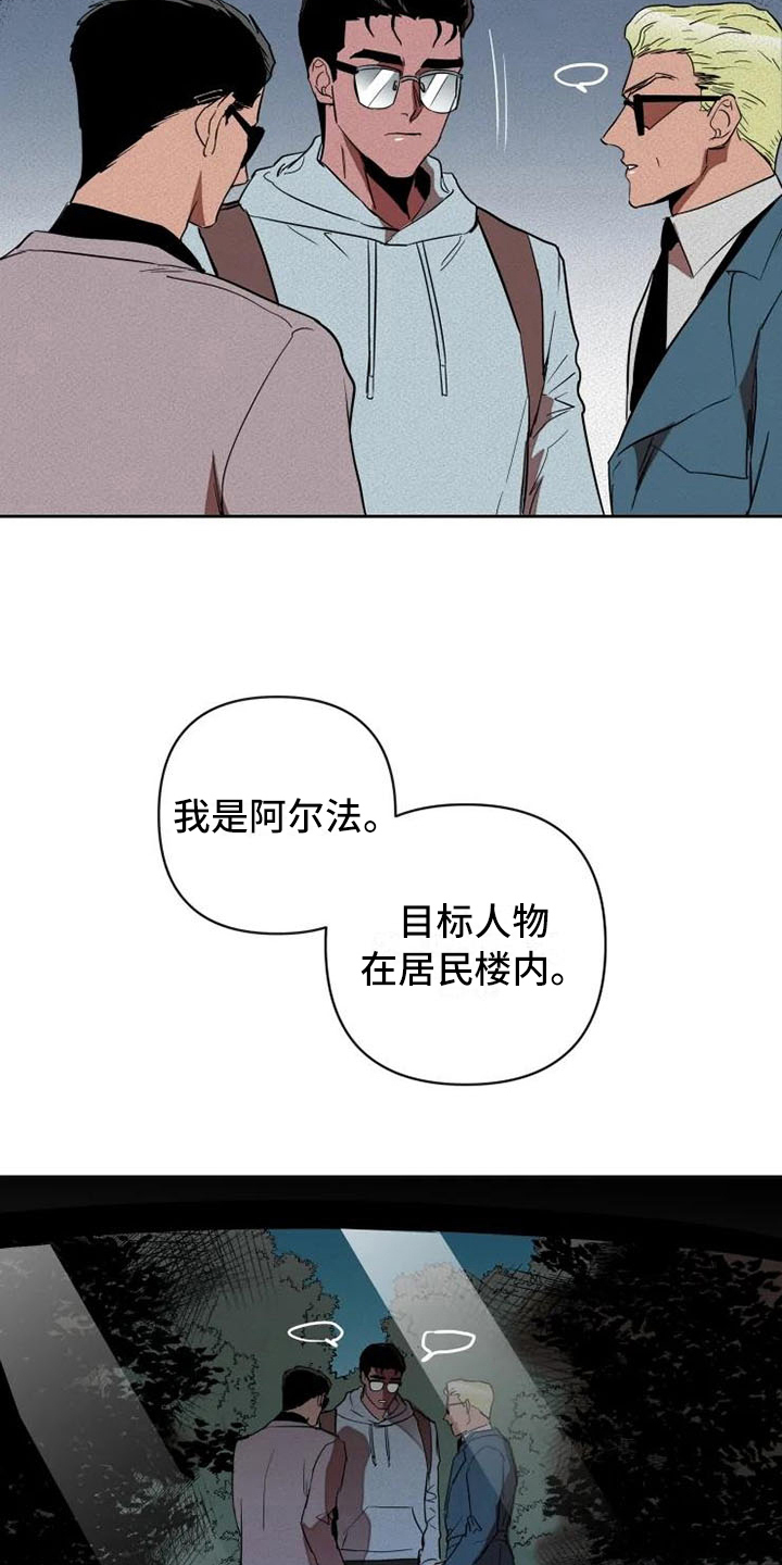 甜蜜杀戮漫画,第17章：汇报4图