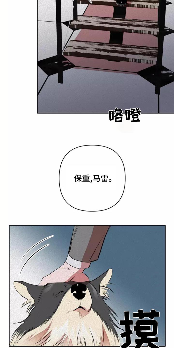 甜蜜杀戮漫画,第53章：罪过4图