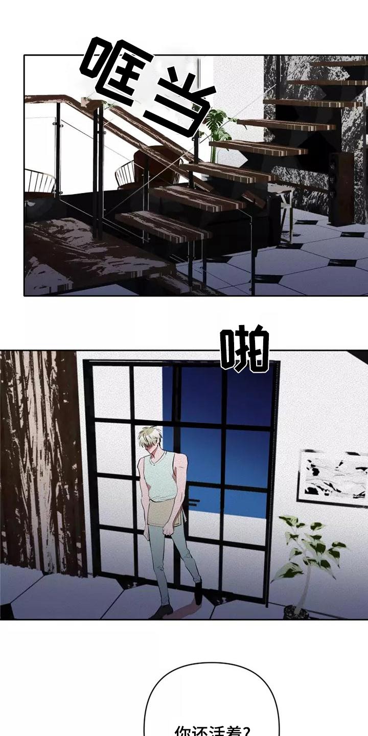 甜蜜杀戮漫画,第52章：事情3图