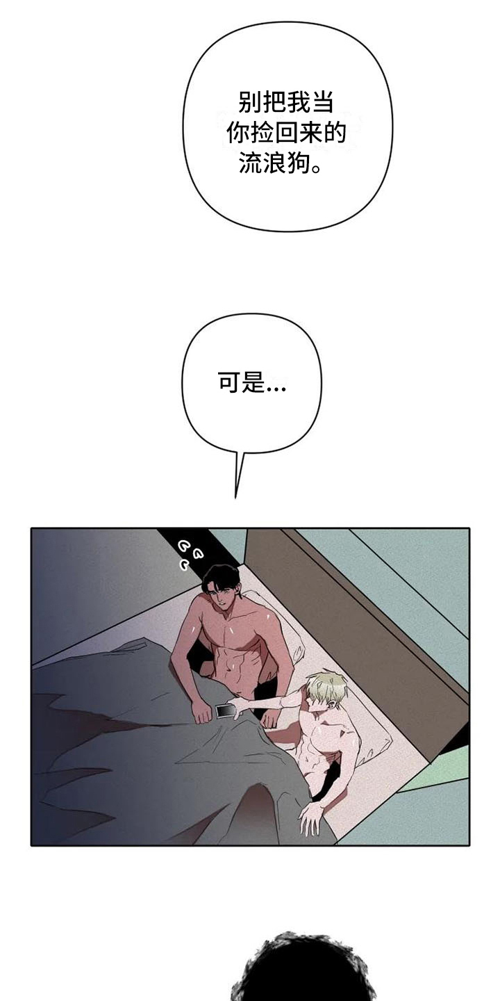 甜蜜杀戮漫画,第17章：汇报2图