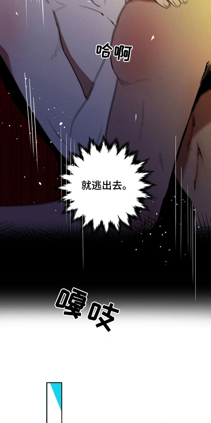 甜蜜杀戮漫画,第26章：逃脱4图