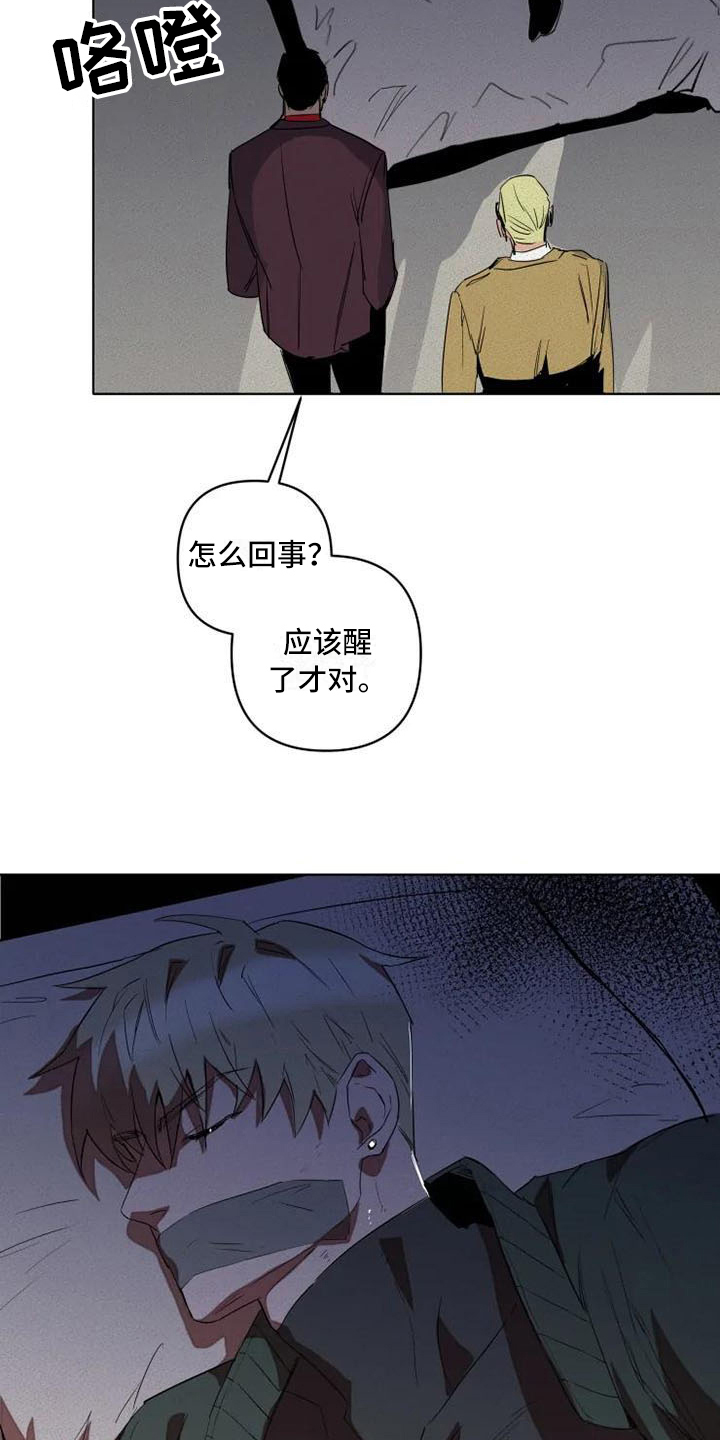 甜蜜杀戮漫画,第1章：杀手4图