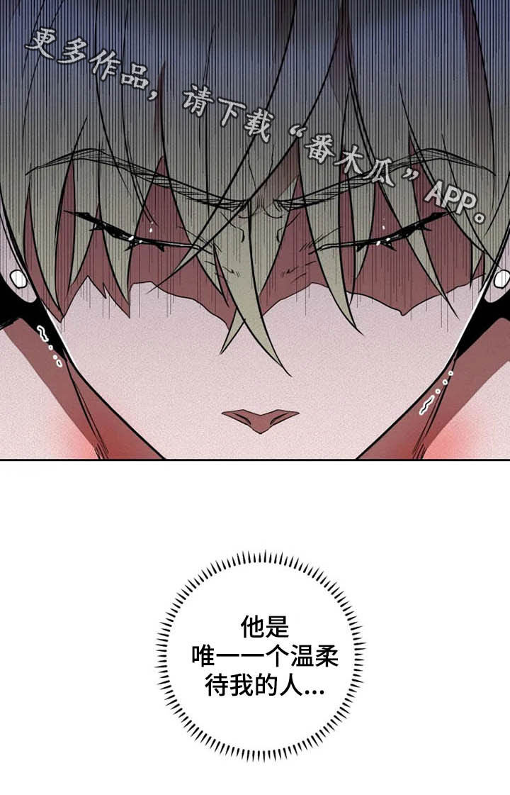 甜蜜杀戮漫画,第24章：温柔以待5图