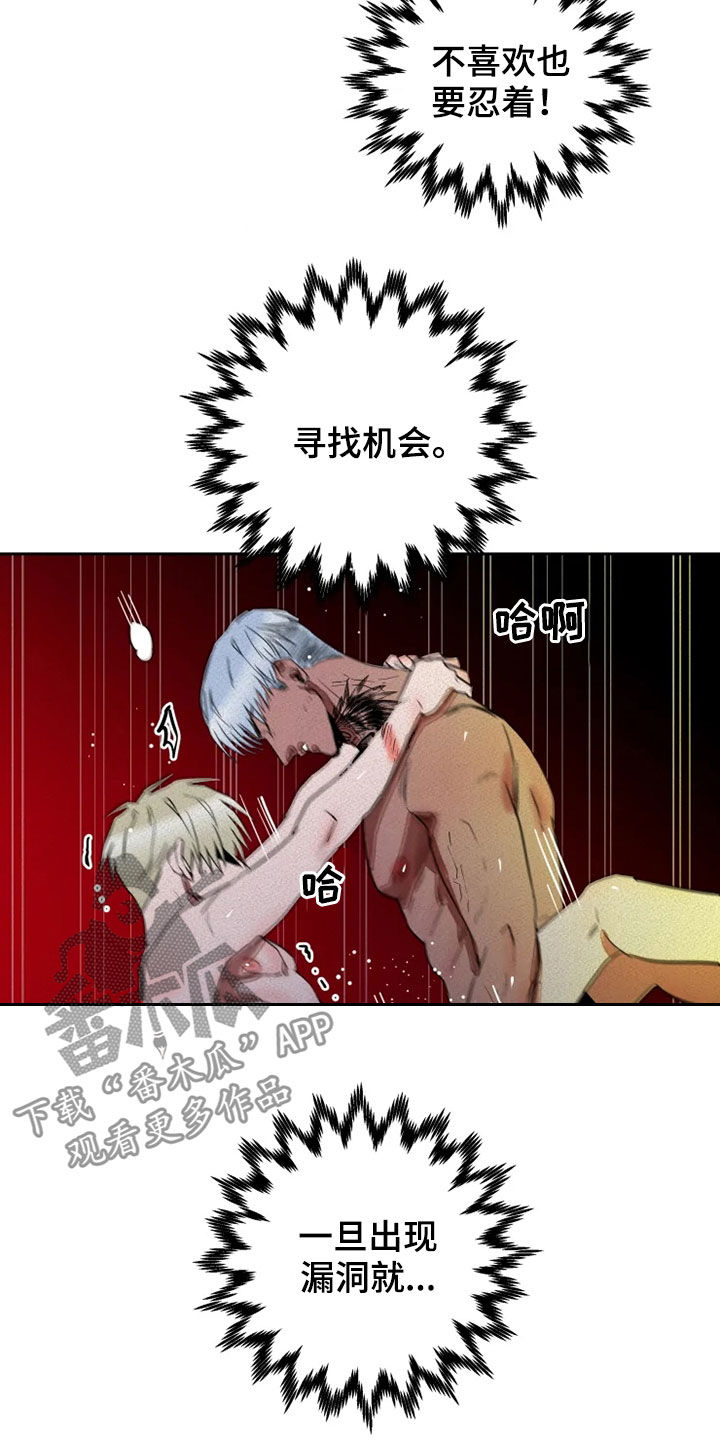 甜蜜杀戮漫画,第26章：逃脱1图