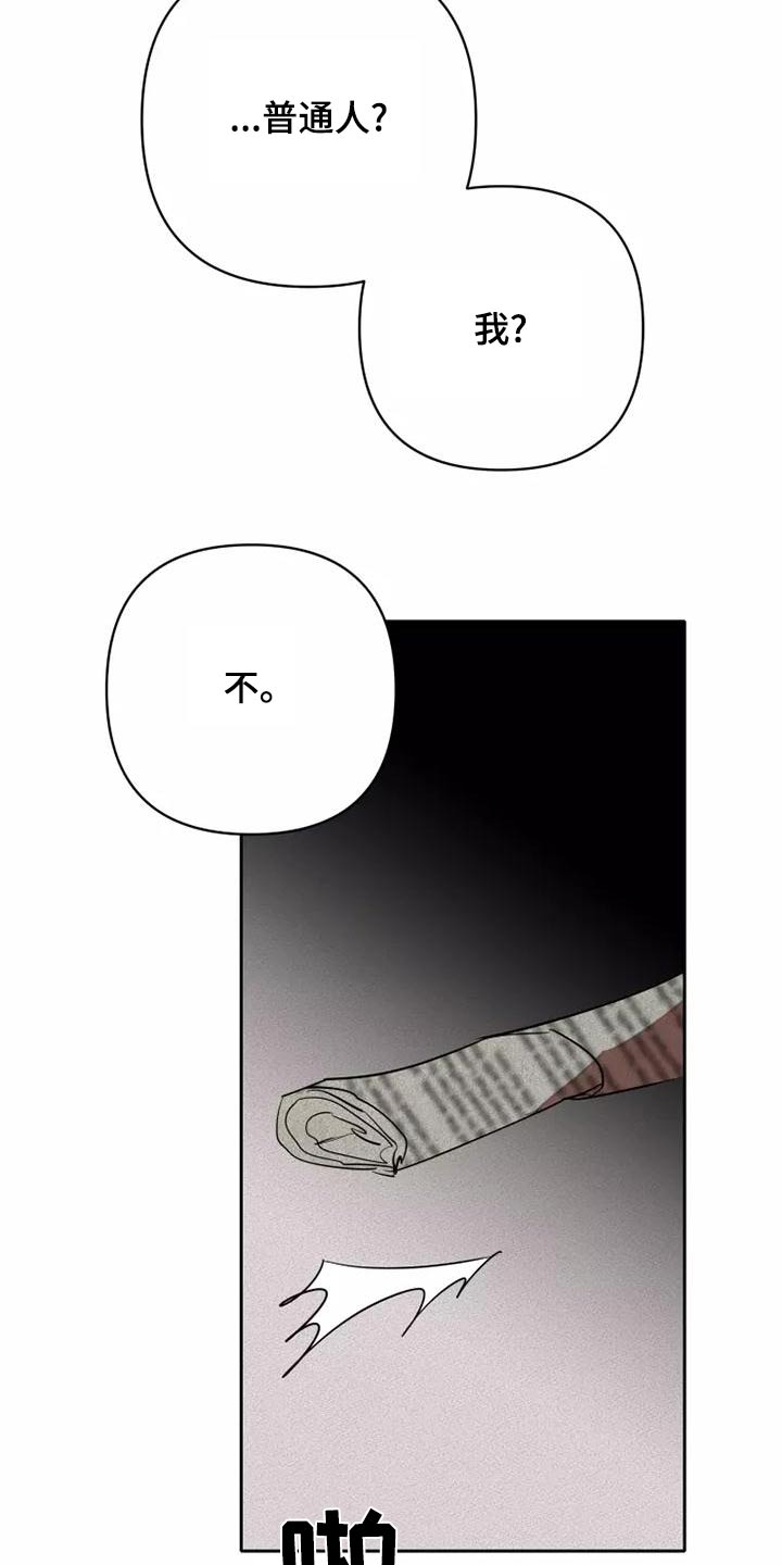 甜蜜杀戮漫画,第51章：求求你1图