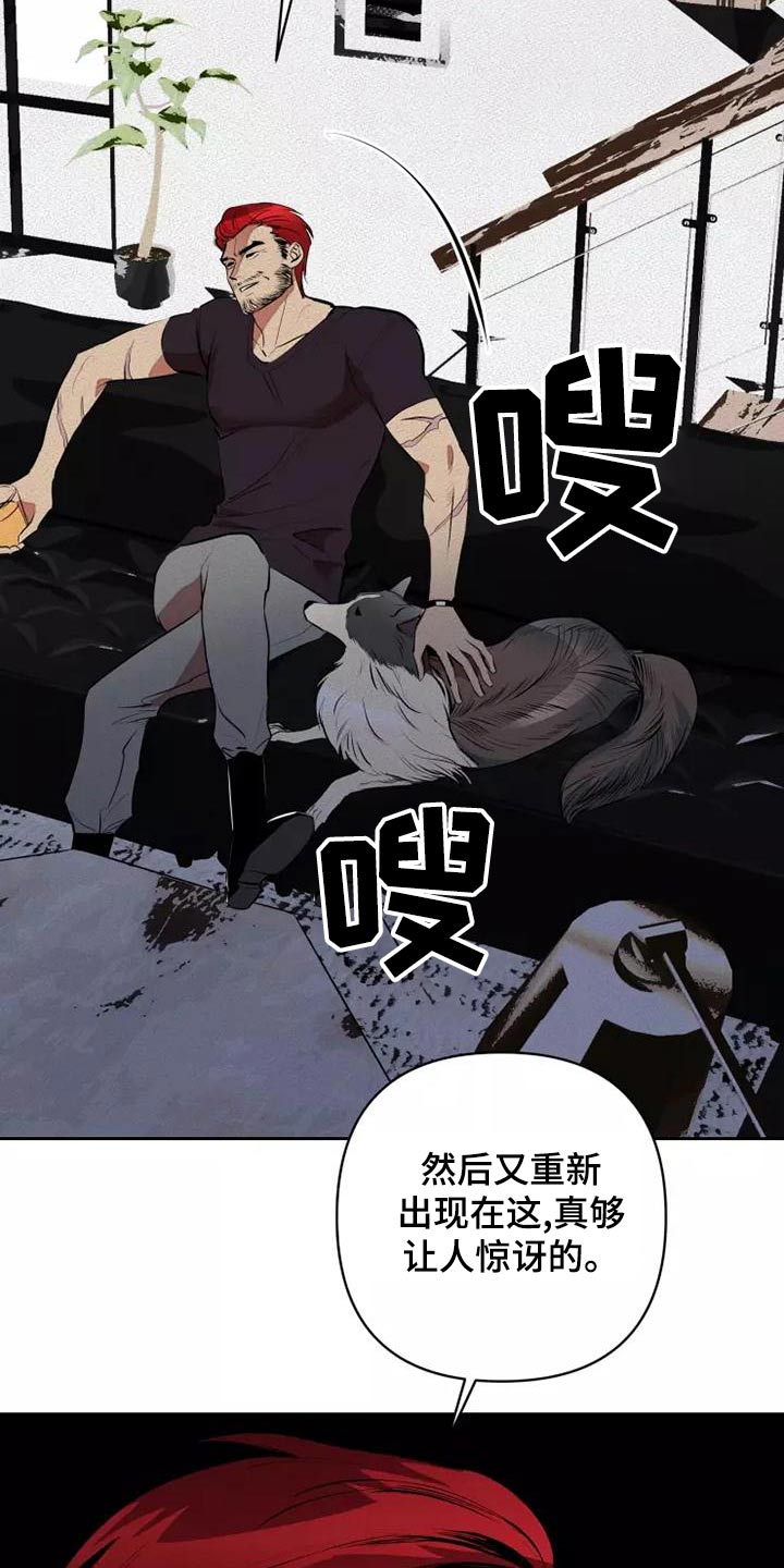 甜蜜杀戮漫画,第52章：事情5图