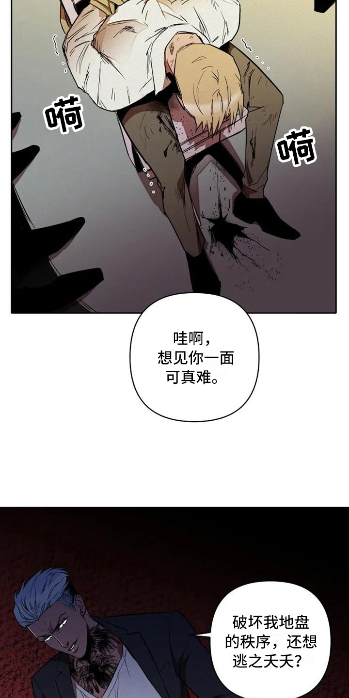 甜蜜杀戮漫画,第9章：监视2图