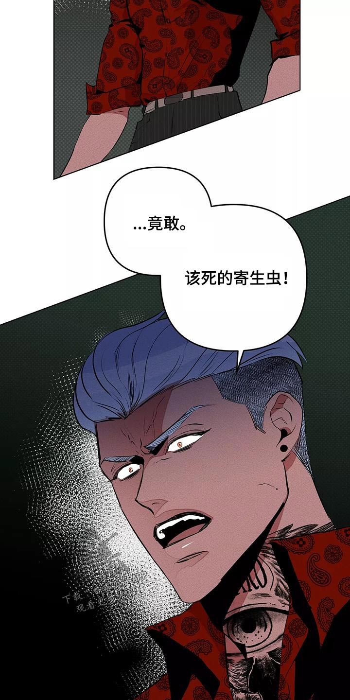 甜蜜杀戮漫画,第57章：出手3图