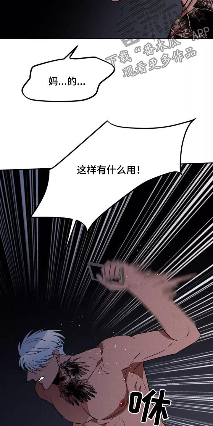 甜蜜杀戮漫画,第43章：狂怒4图