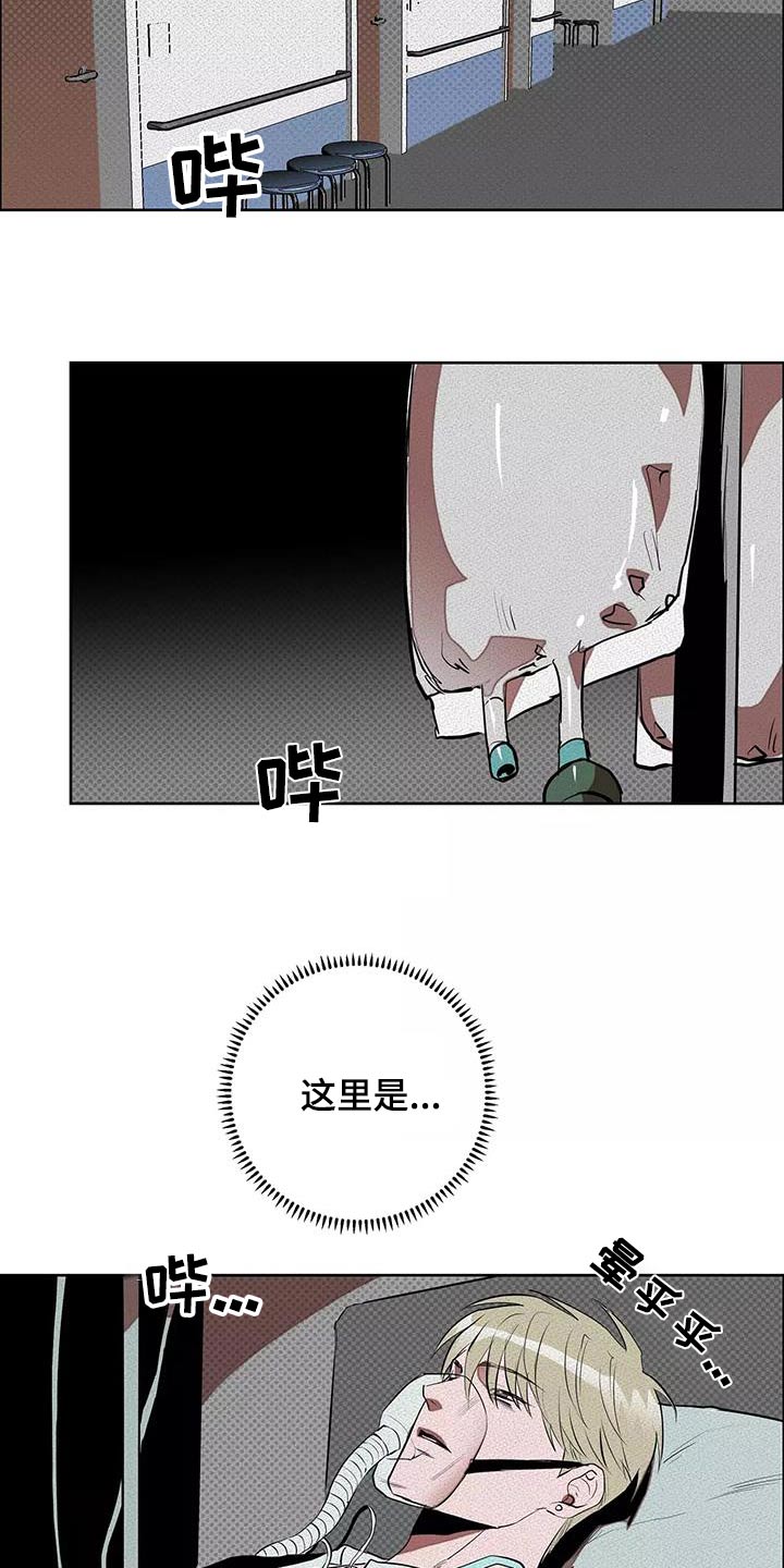 甜蜜杀戮漫画,第59章：危险3图