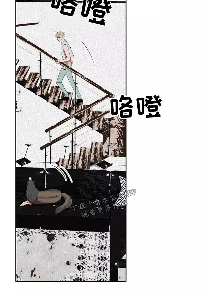 甜蜜杀戮漫画,第52章：事情3图
