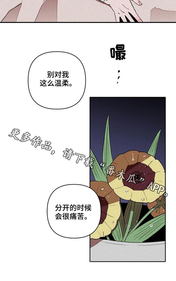 甜蜜杀戮漫画,第33章：拯救自己2图