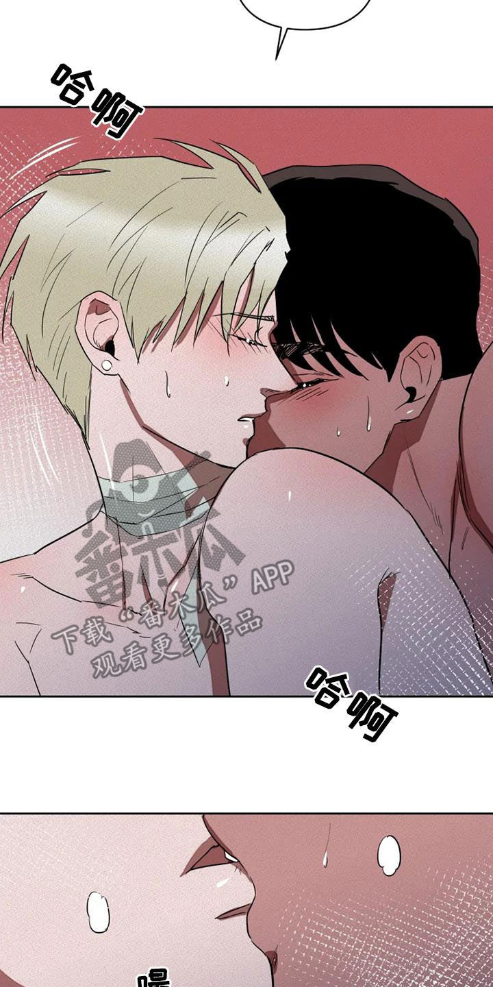 甜蜜杀戮漫画,第32章：别再说对不起5图