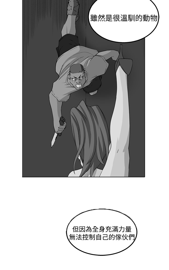 秘读小说漫画,第18章：交流3图