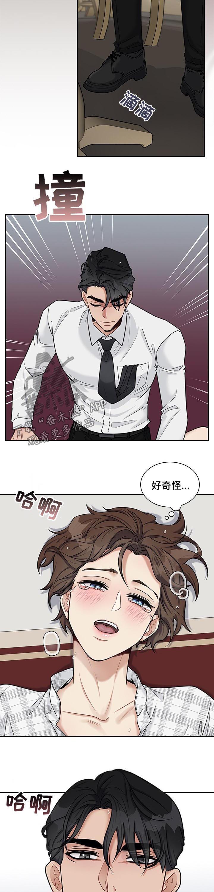 职场重组漫画,第47章：回来了2图