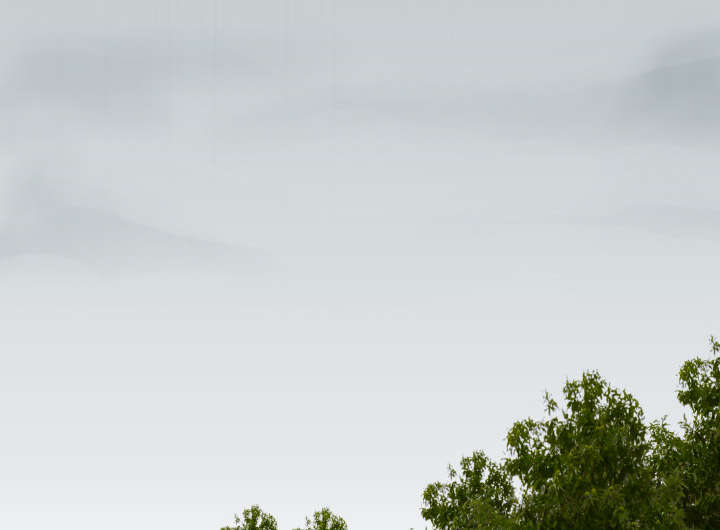 复仇之岛漫画,第33章：初见首尔5图