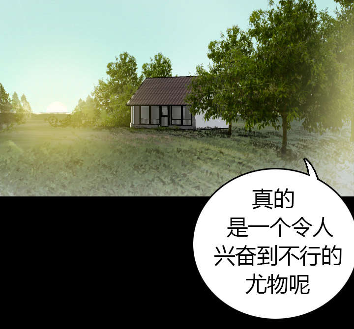 复仇之岛漫画,第13章：绝望与寄托3图