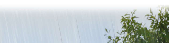 复仇之爪声望怎么刷漫画,第26章：进来坐会吧3图