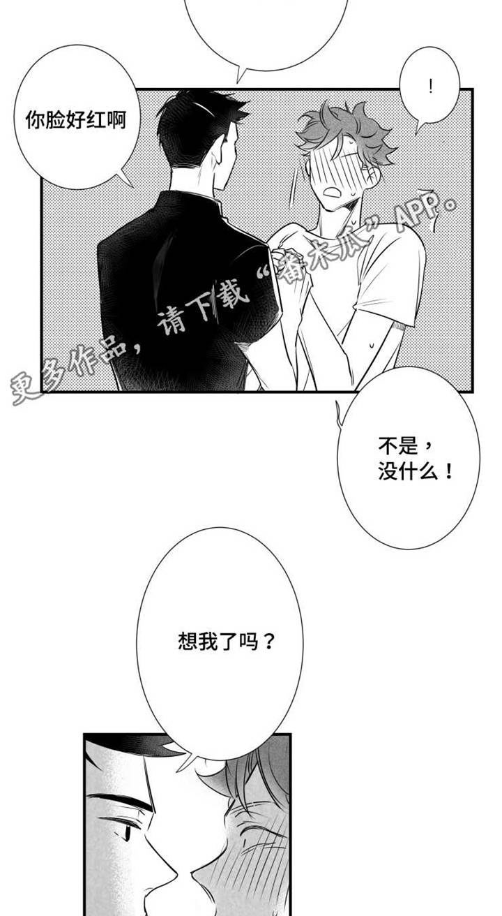 触近漫画,第63章：不要找别人2图