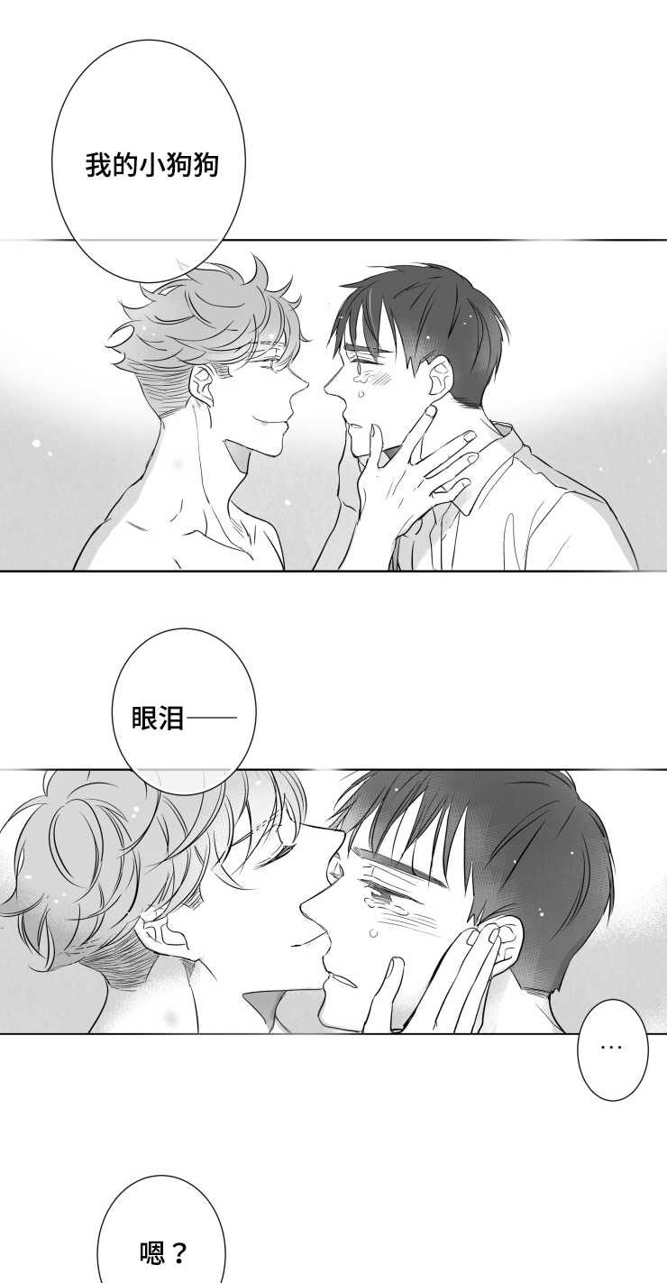 触近漫画,第86章：小鹿乱蹿1图