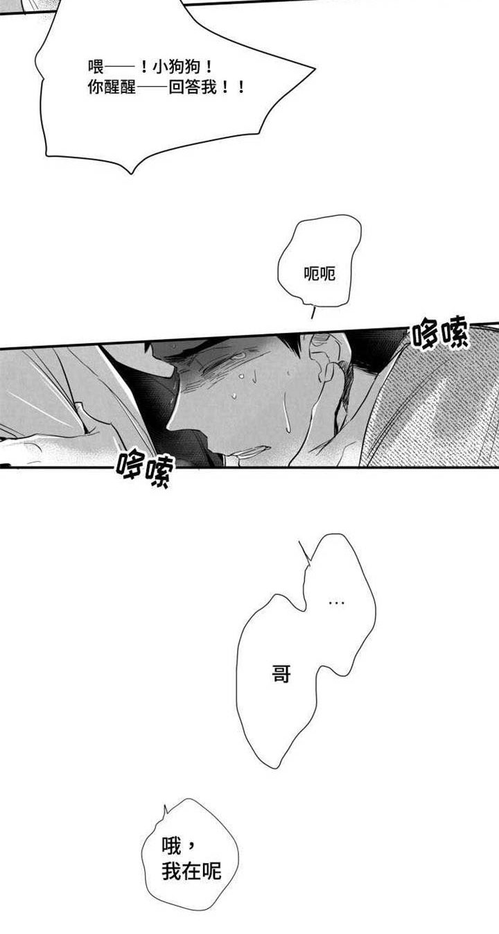 触近漫画,第37章：真实的你5图