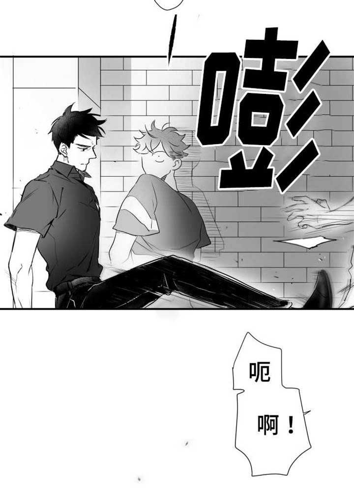 触近漫画,第59章：乱套了5图
