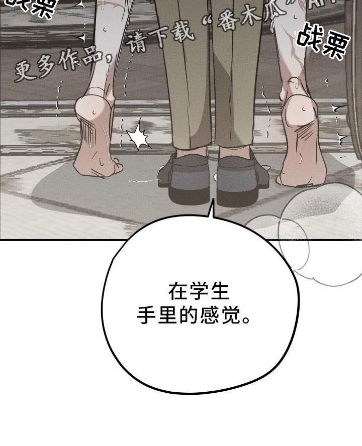偷心花园漫画,第8章：薰衣草花园：惩罚3图