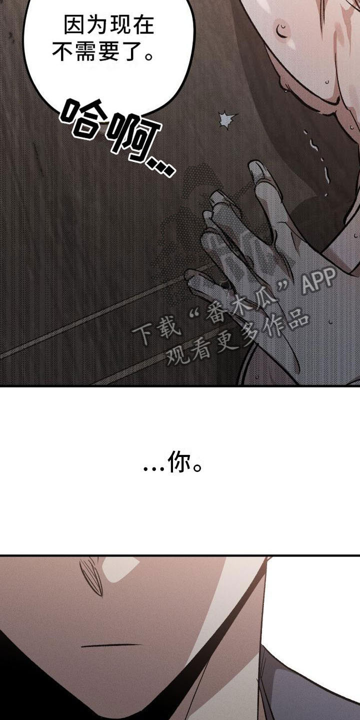 偷心花园漫画,第9章：薰衣草花园：主人1图