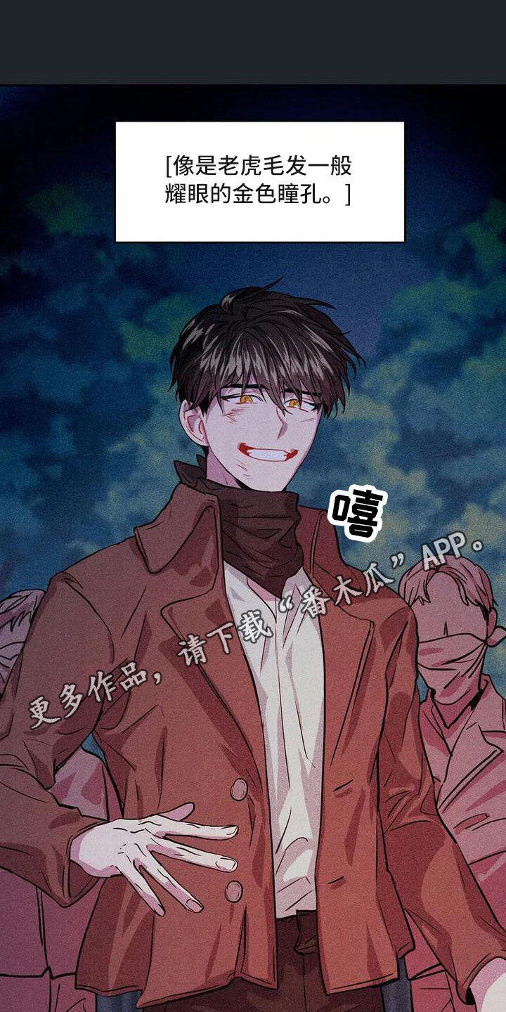 偷心花园漫画,第54章：京城事务所： 义贼团1图