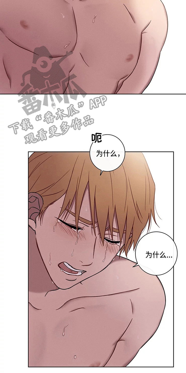 偷心花园漫画,第52章：三角恋人：很有关系4图