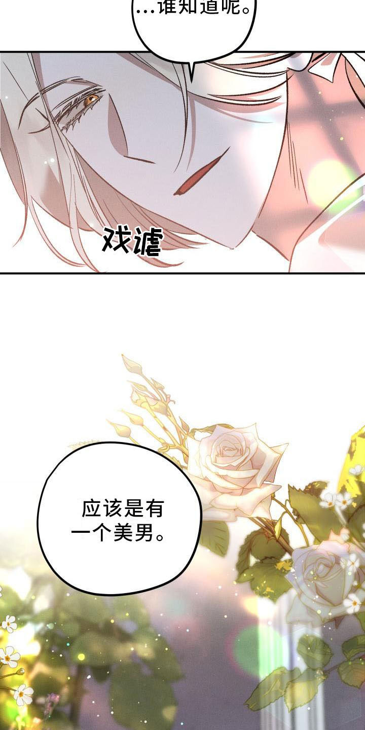 偷心花园漫画,第13章：薰衣草花园：拥抱幸福（完）1图