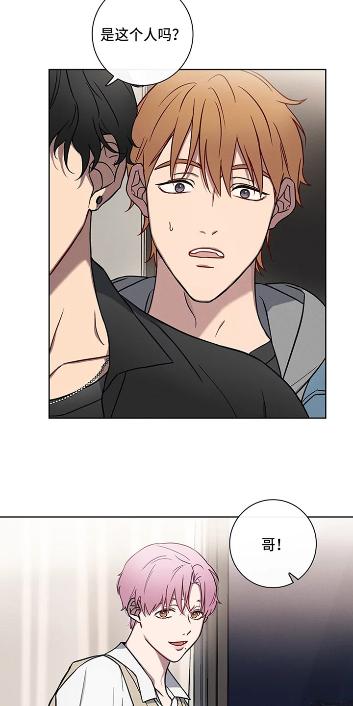 偷心花园漫画,第49章：三角恋人：男朋友1图