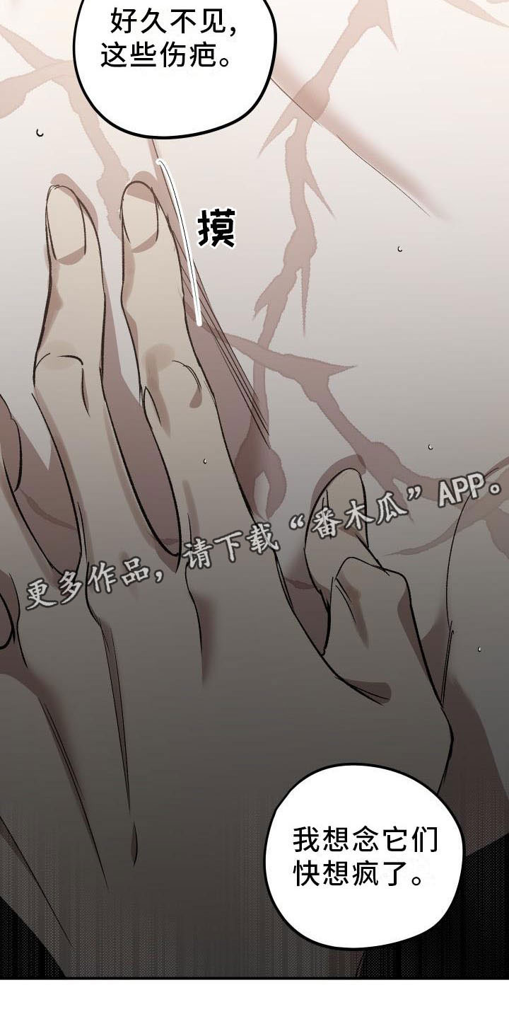 偷心花园漫画,第7章：薰衣草花园：喂药4图