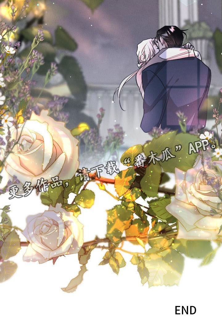 偷心花园漫画,第13章：薰衣草花园：拥抱幸福（完）2图