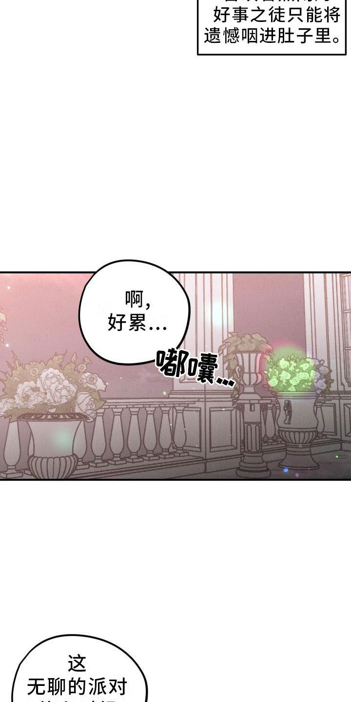 偷心花园漫画,第13章：薰衣草花园：拥抱幸福（完）4图