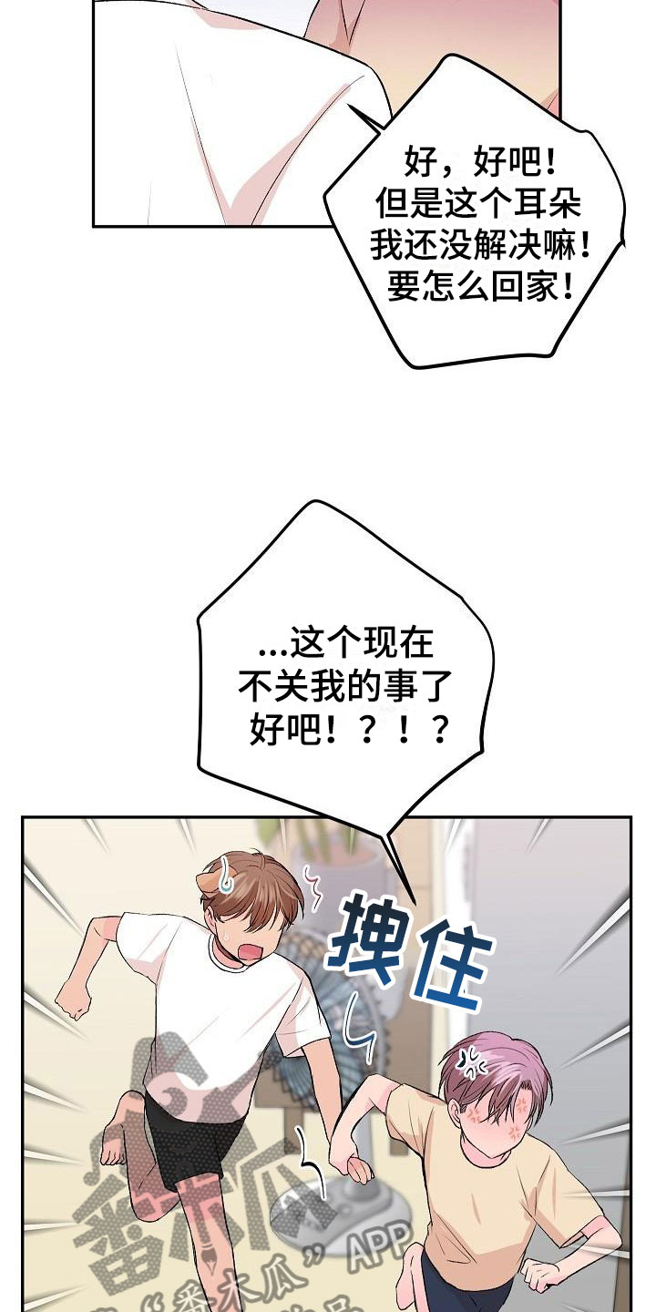 偷心花园漫画,第28章：我的狗男孩：扫地出门1图