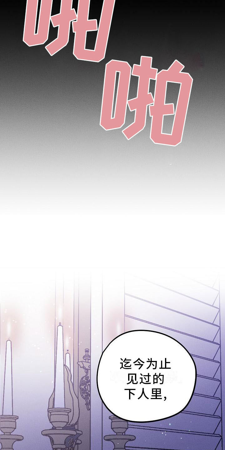 偷心花园漫画,第5章：薰衣草花园：鞭打5图