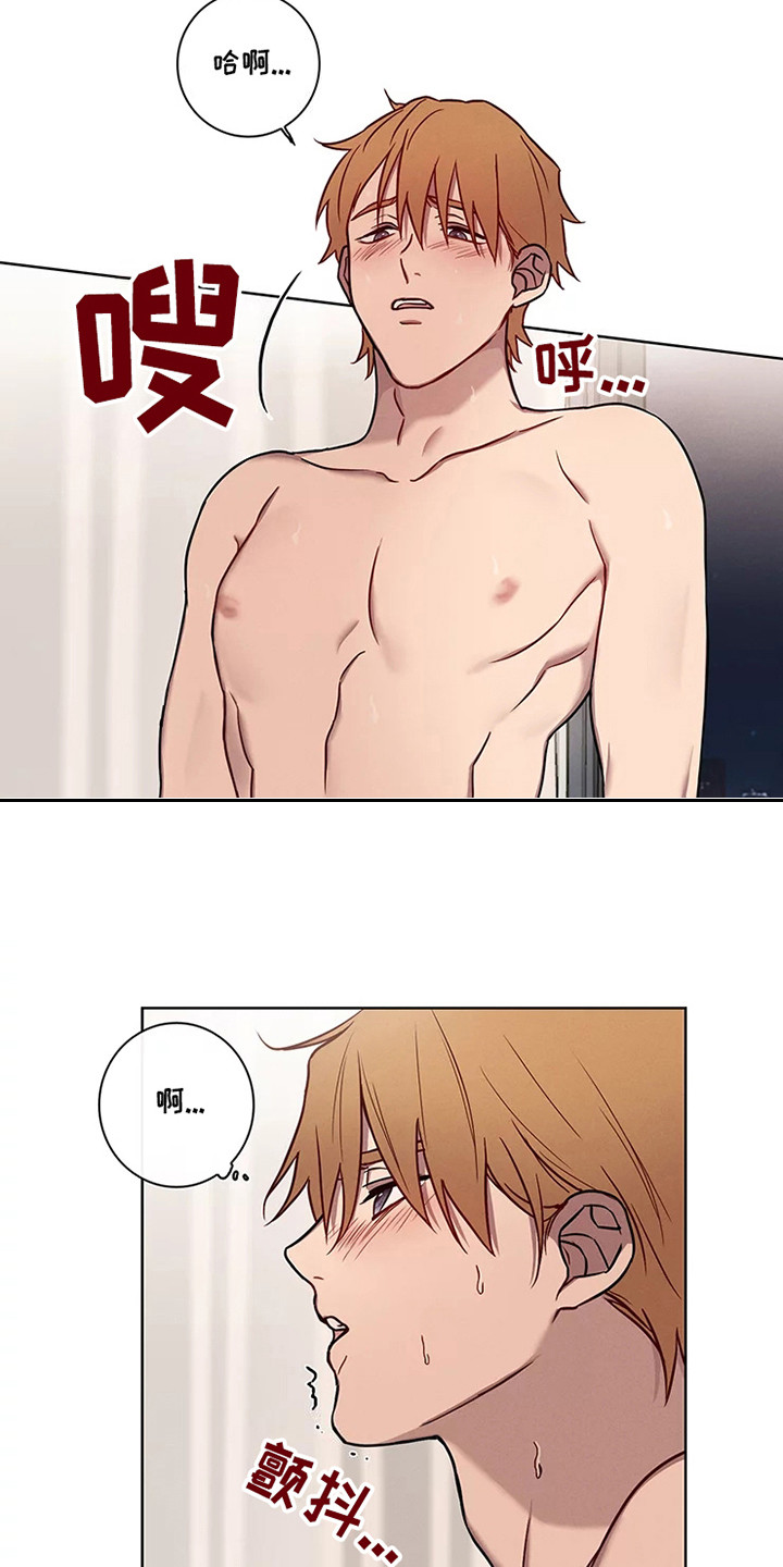 偷心花园漫画,第51章：三角恋人：求饶1图