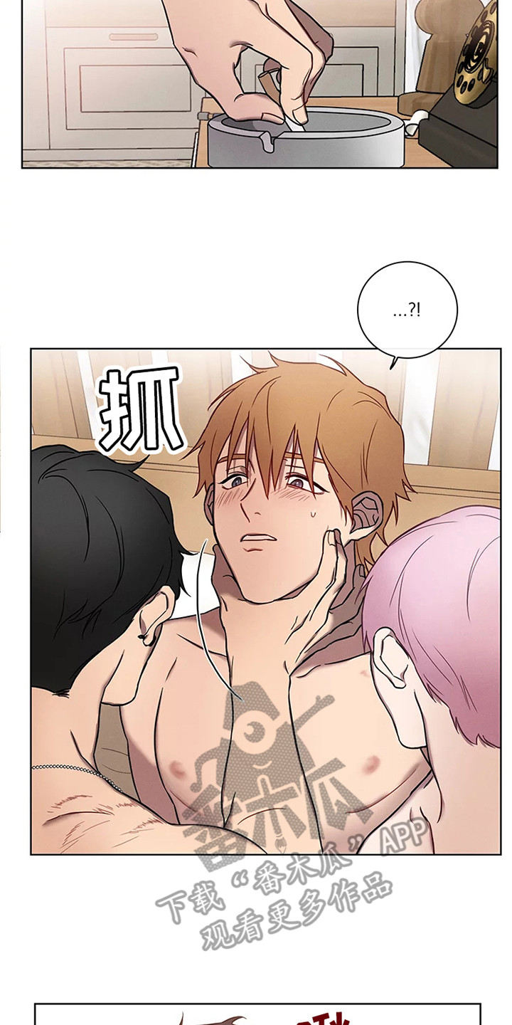偷心花园漫画,第53章：三角恋人：没法脱身了（完）5图