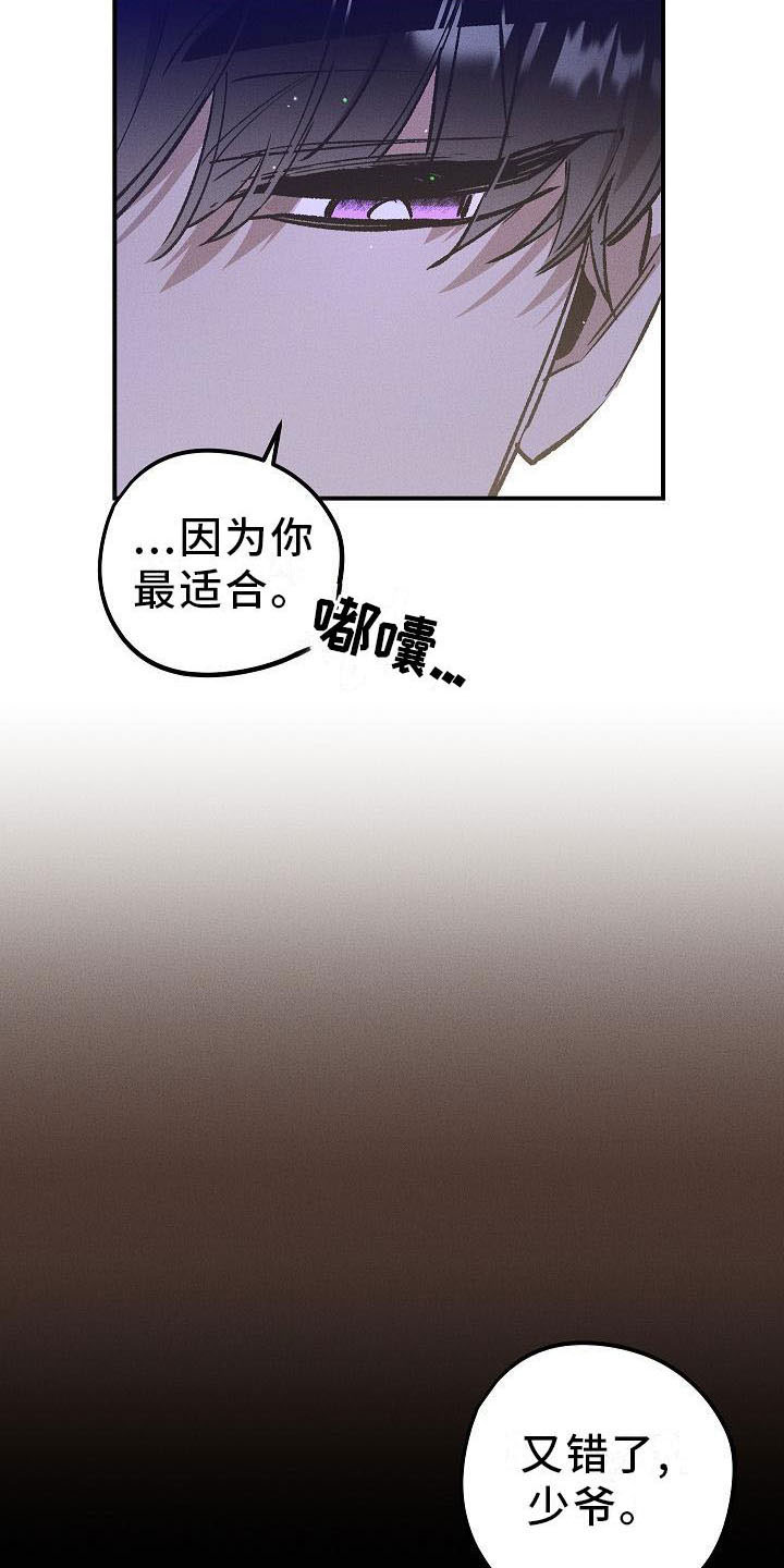 偷心花园漫画,第5章：薰衣草花园：鞭打3图