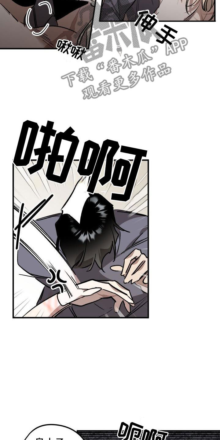 偷心花园漫画,第12章：薰衣草花园：喜欢3图