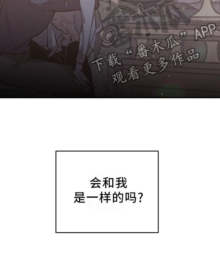 偷心花园漫画,第7章：薰衣草花园：喂药3图