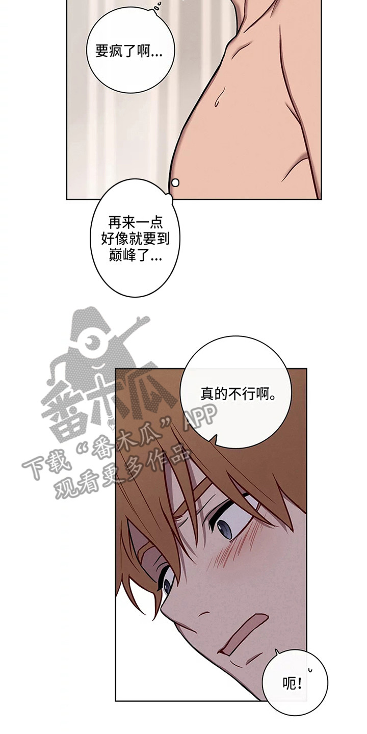 偷心花园漫画,第51章：三角恋人：求饶2图