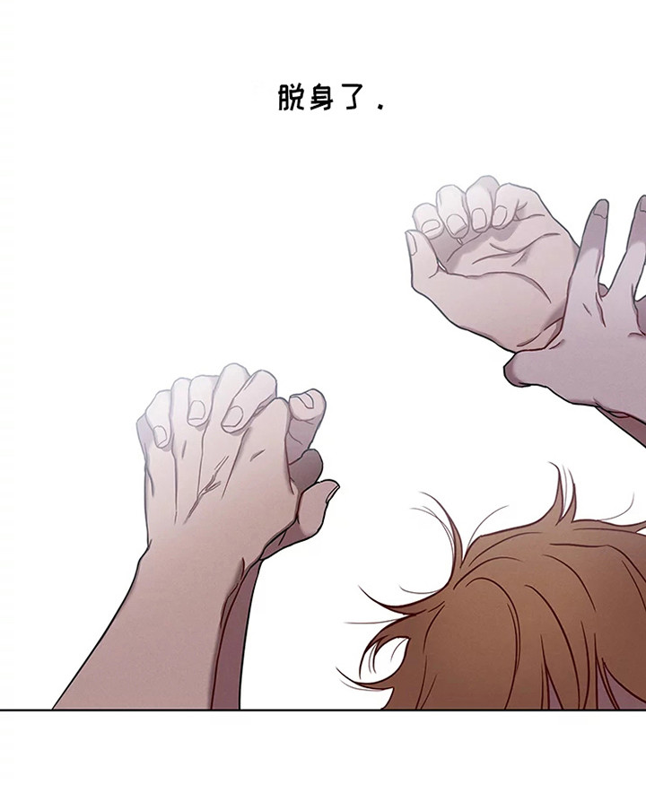 偷心花园漫画,第53章：三角恋人：没法脱身了（完）4图