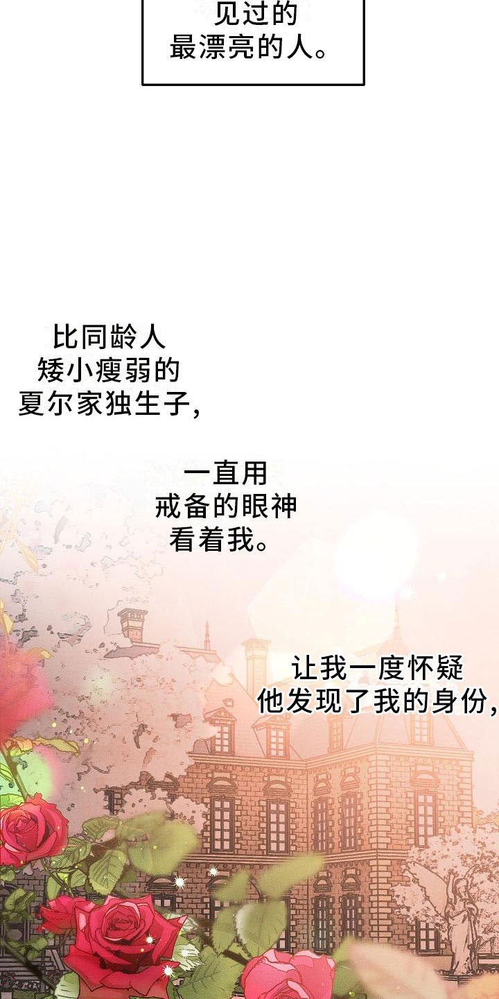 偷心花园漫画,第4章：薰衣草花园：盗窃5图