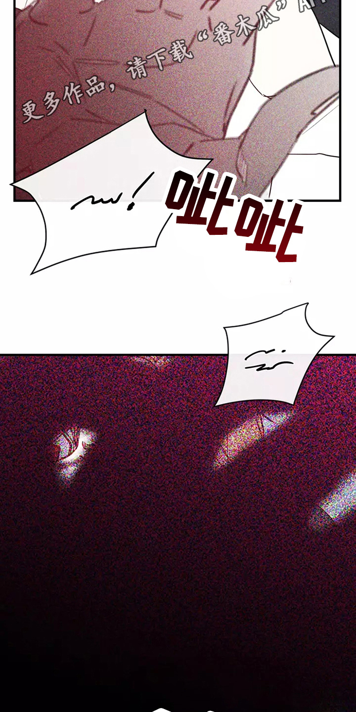 偷心花园漫画,第84章：危险直播：秀恩爱（完）3图