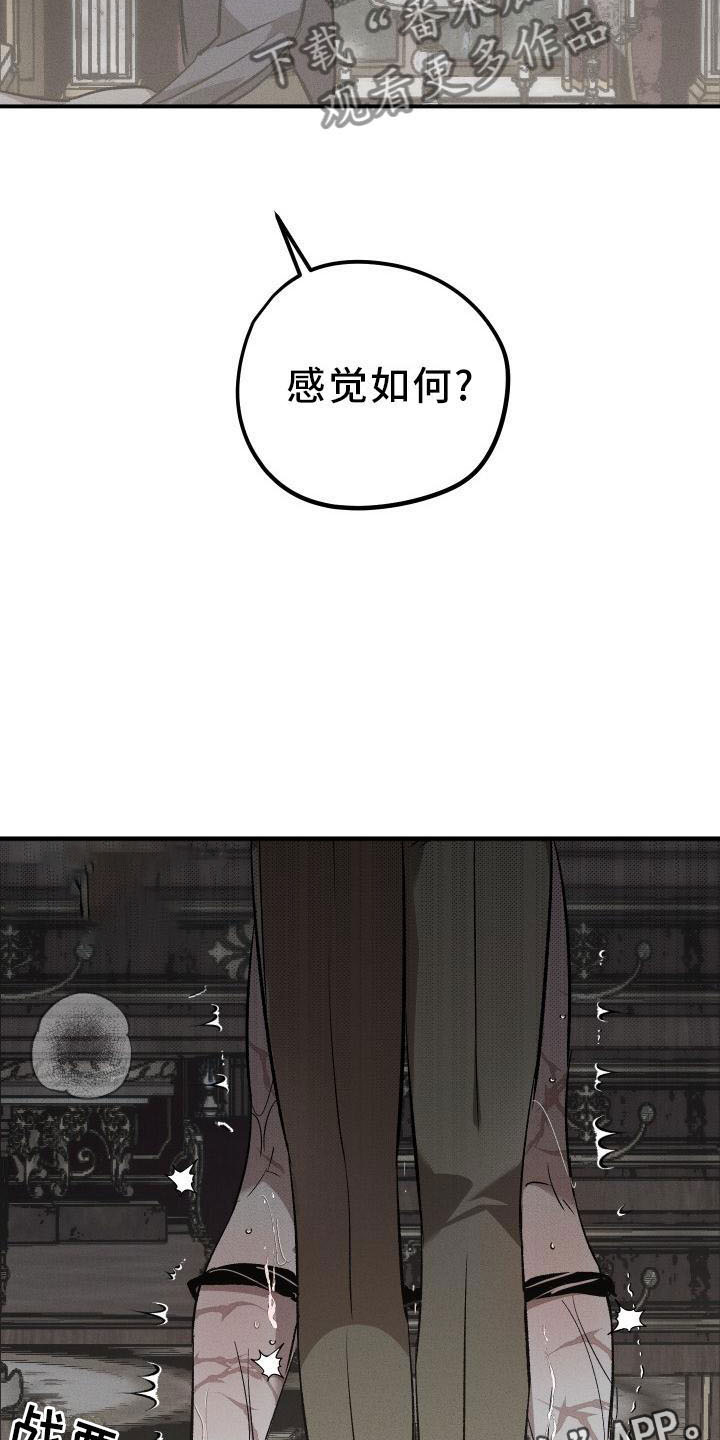 偷心花园漫画,第8章：薰衣草花园：惩罚2图