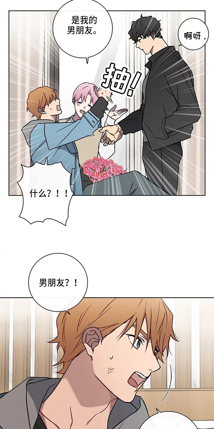 偷心花园漫画,第49章：三角恋人：男朋友4图